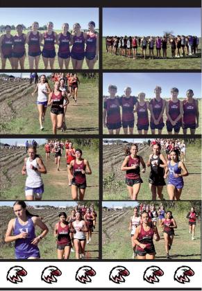 Eagles Cross Country Heads to State!
