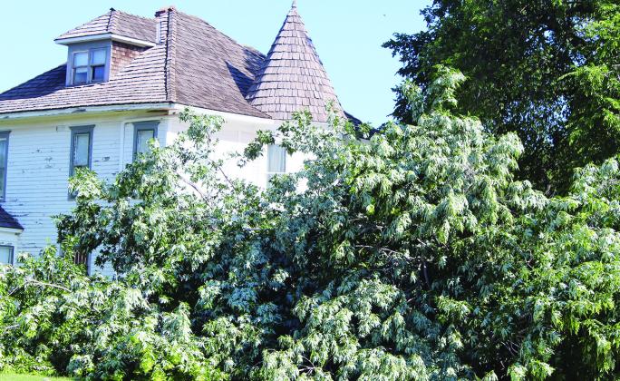 A June thunderstorm did signifigant damage around town, especially to trees. The giant old elm at the Ferguson Home Museum was one of the casualties of the storm, taking part of the fence with it when it fell.