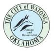 Council Adjusts Budget 