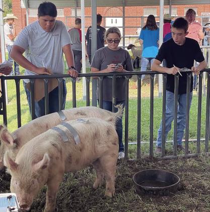 At Left: The Geary FFA attended the Blaine County Livestock Judging Contest on Friday, Aug 18, and did an excellent job. They learned a great deal from their experience, and we could not be more proud of the way they competed, and represented their school. Photos courtesy Geary Public Schools