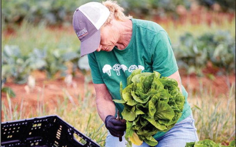 Women in Ag Conference June 30