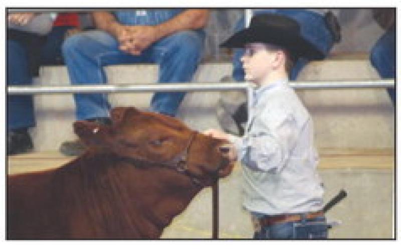 Stock Show Time