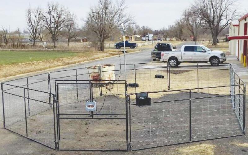 Watonga FFA Student Makes Sale with Innovative Hog Trap