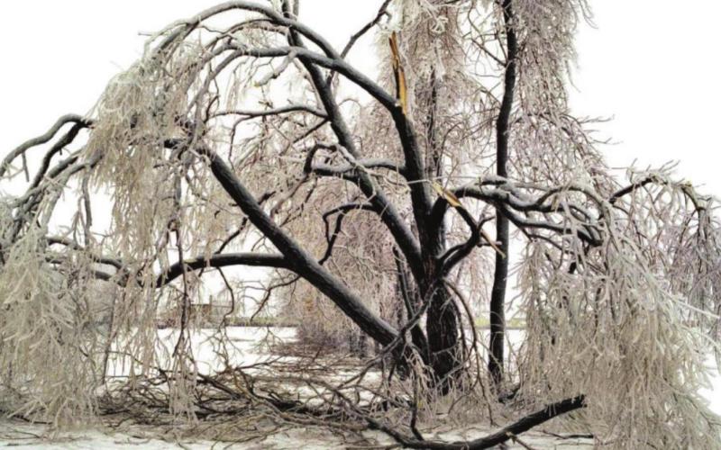 Blaine County Approved for Federal Assistance Following Ice Storm