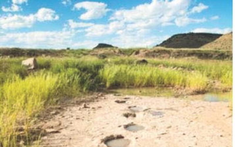 Dinosaur Track Site Closed to Public Near Black Mesa High Point Trail