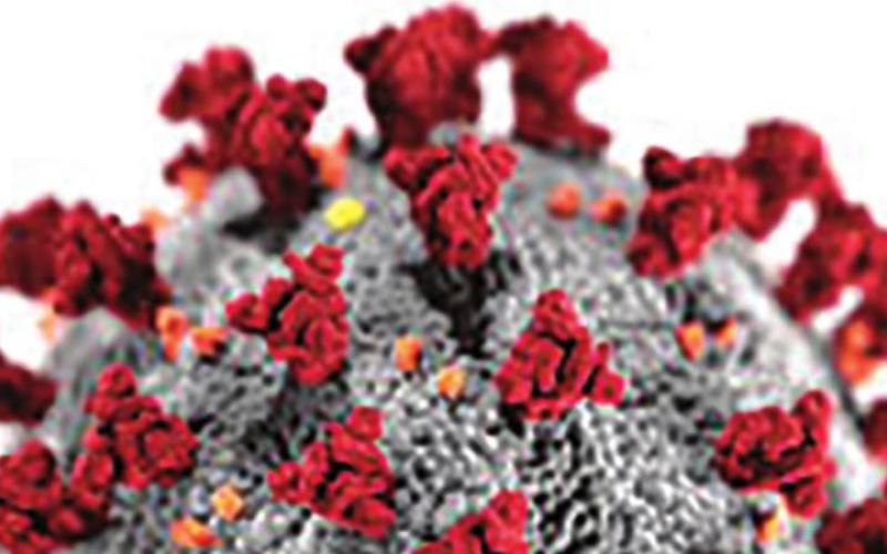 State Passes 283K Coronavirus Cases