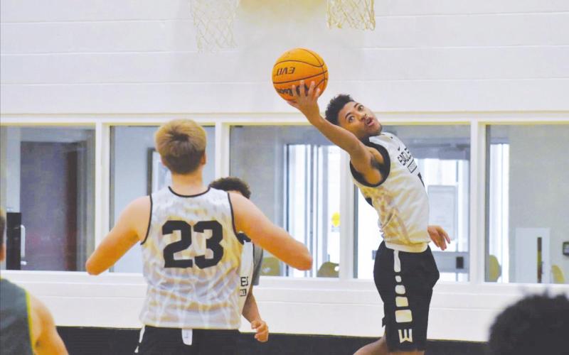 Eagles’ Basketball Highlights