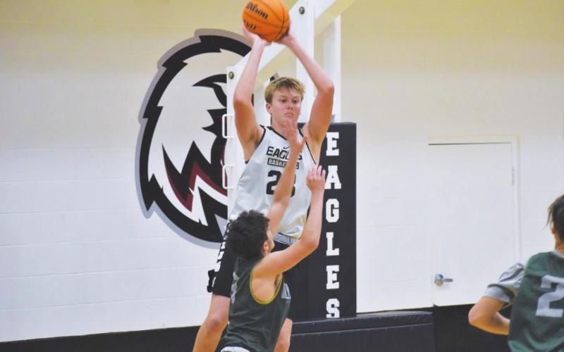 Eagles’ Basketball Highlights