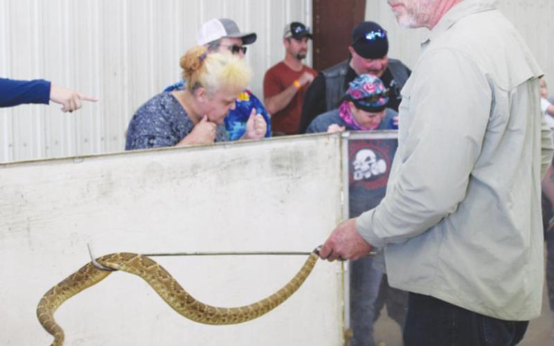 Thousands Flock to Okeene For Return of Rattlesnake Roundup