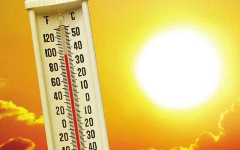 We're Having A Heat Wave