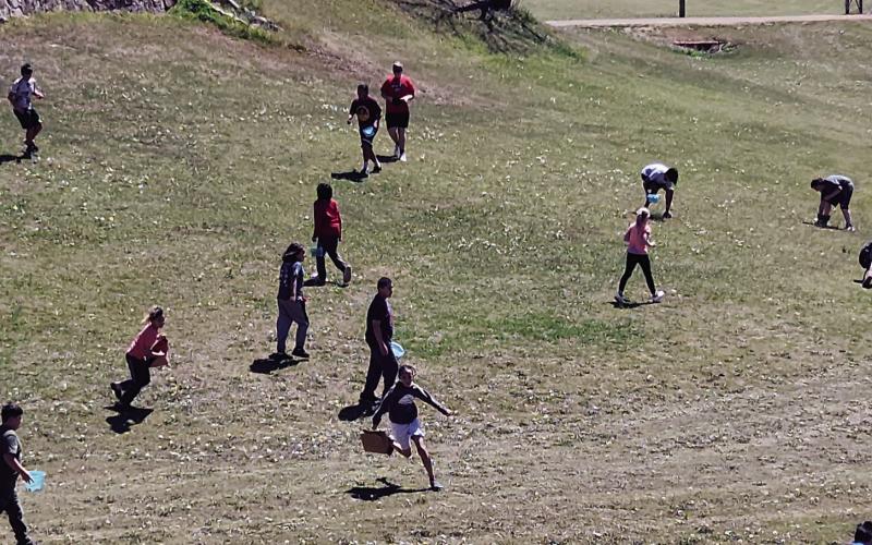 Egg Hunt
