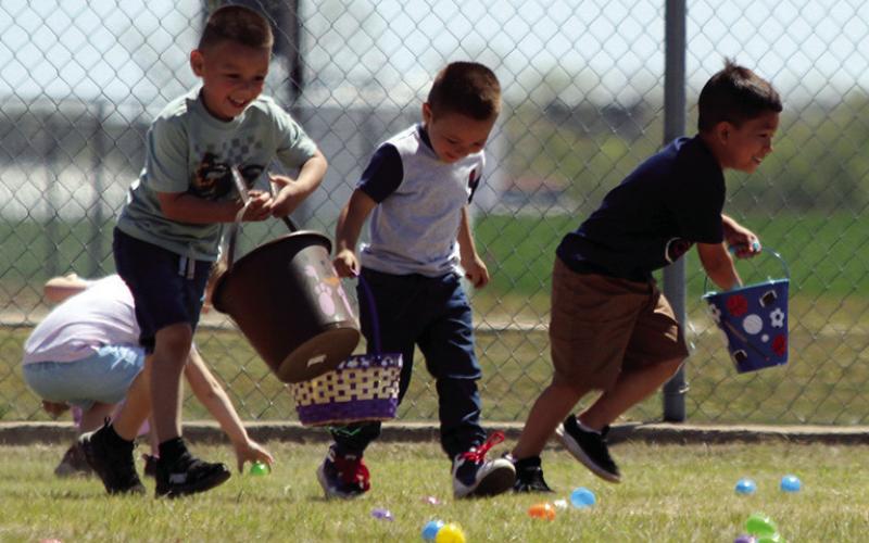 Egg Hunt