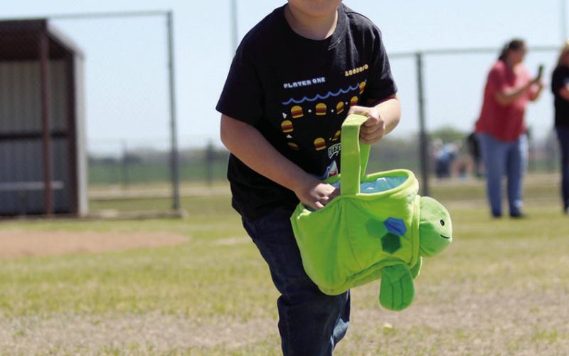 Egg Hunt