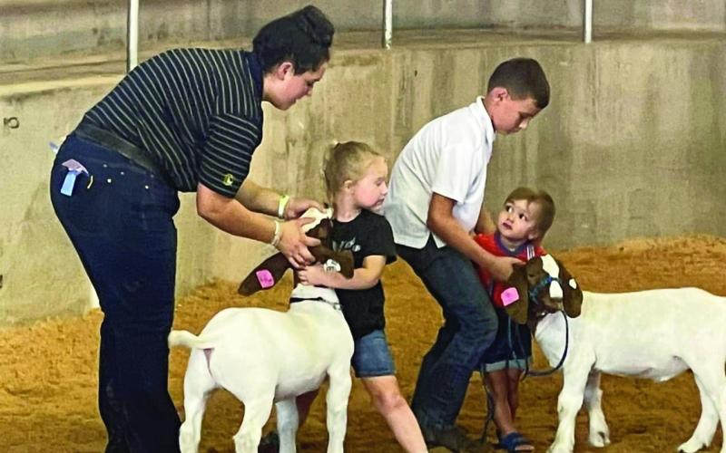 Late August Means It’s Fair Time