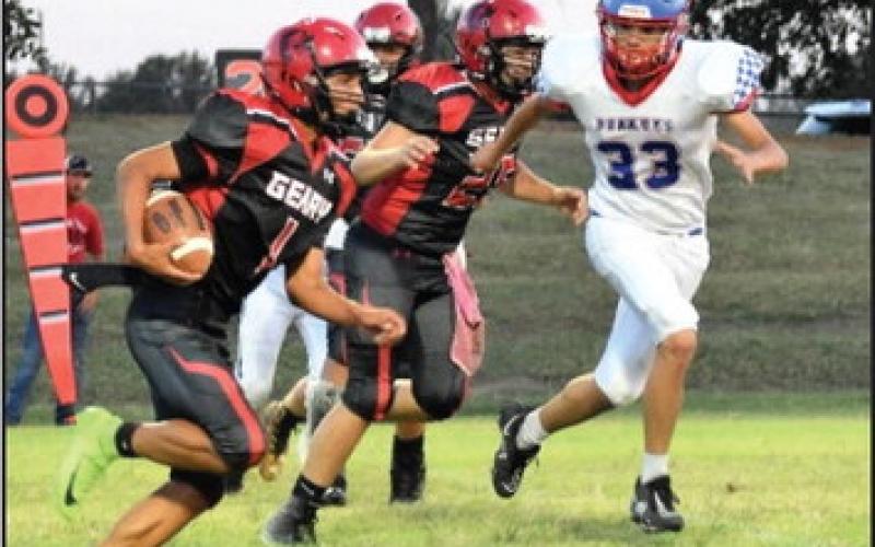 Bison Defeat Bray-Doyle Donkeys