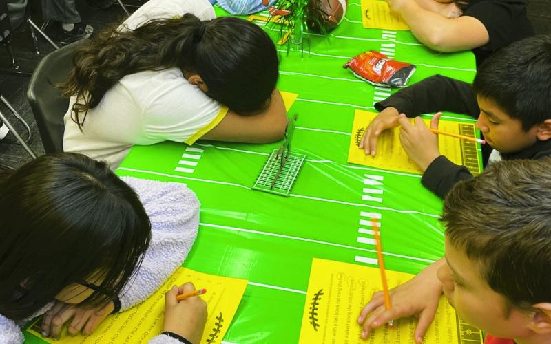 Everybody Wins in the Grammar Bowl