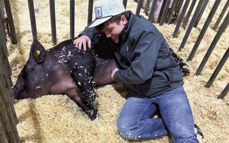 Stock Show and State Meet