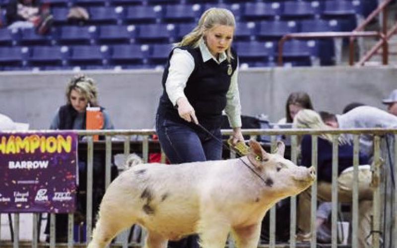 Stock Show and State Meet