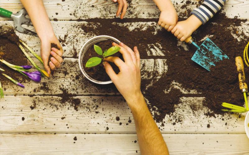 Gardening Season is Here