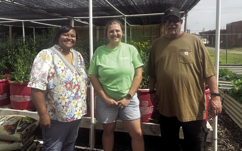 Spotlight Shines on Opportunities
