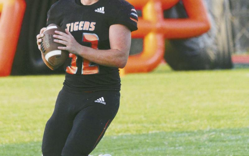 Balko-Forgan Too Much for Tigers