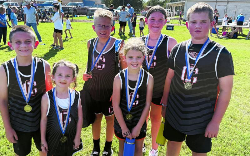 High Placings, HiJinks