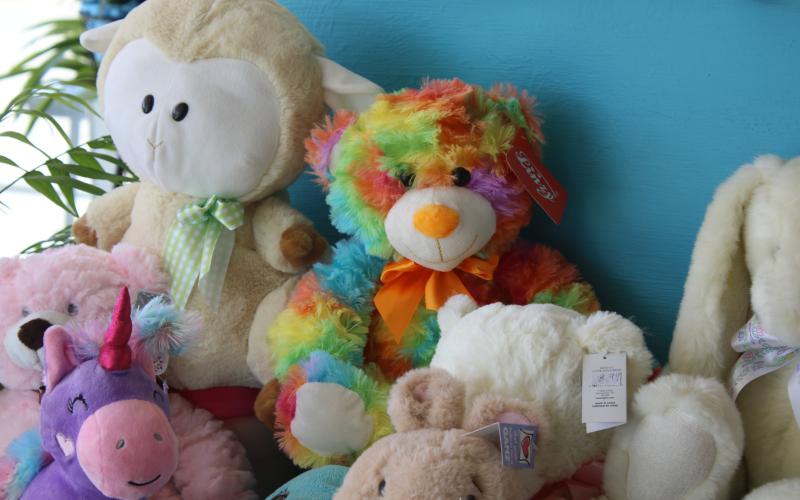 The only bears this reporter could find were in a shop window