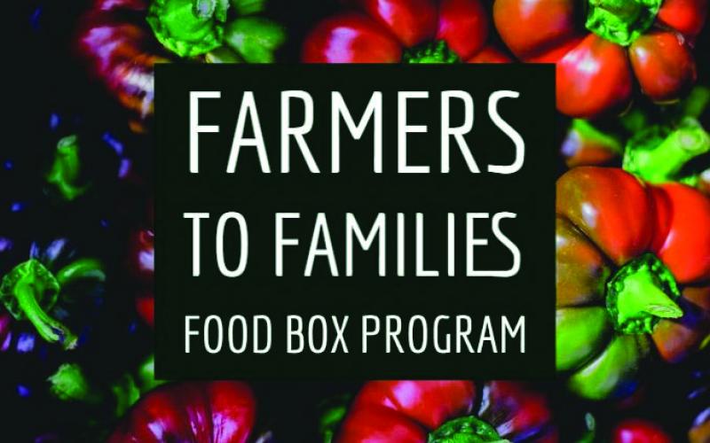 Food box