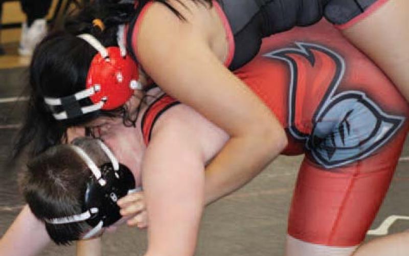 Bison Wrestle in District Duals