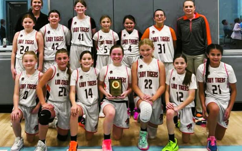 Up and Coming Roundballers