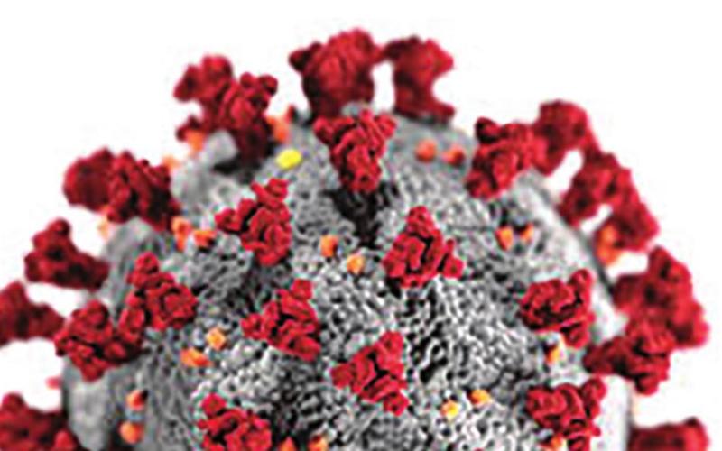 State Passes 263K Coronavirus Cases