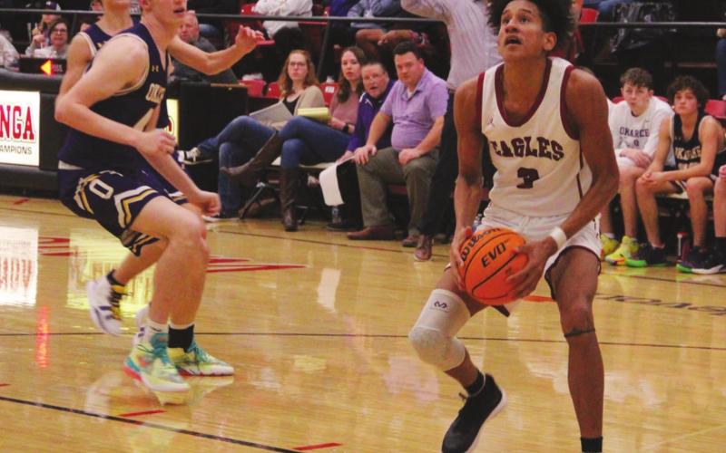 Athlete Spotlight: Whiteshield is Eagles’ Leading Rebounder