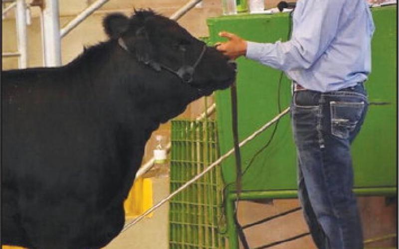 Geary FFA Competes at Blaine County Fair
