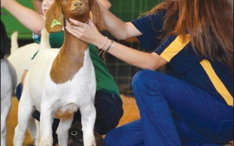Geary FFA Competes at Blaine County Fair