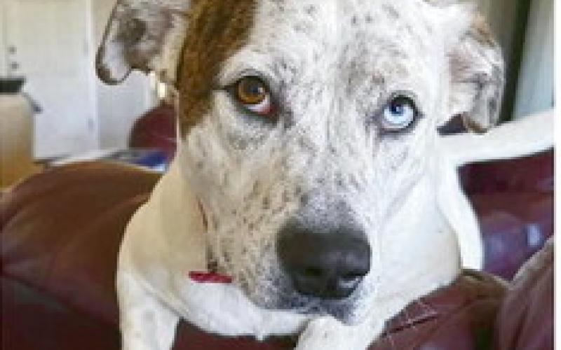 Lady is still missing. Various local Facebook accounts are organizng searches for her.