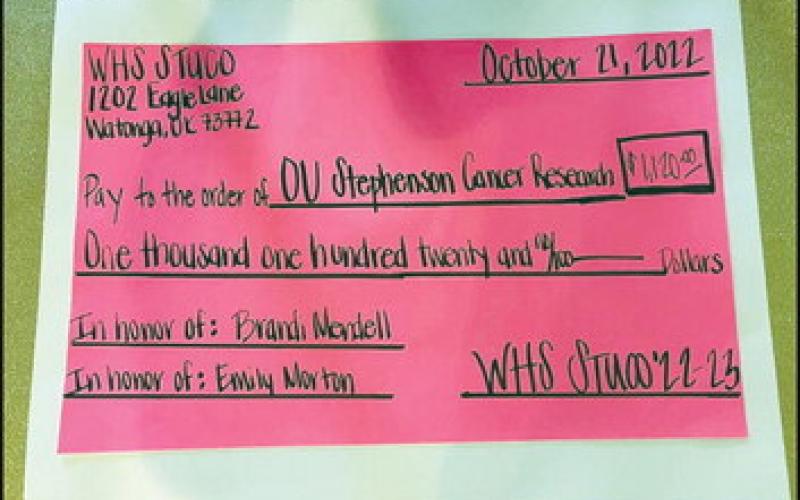 STUCO Donates to Cancer Research