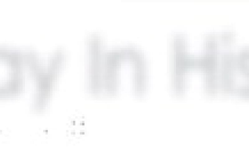 Alt Text for Image