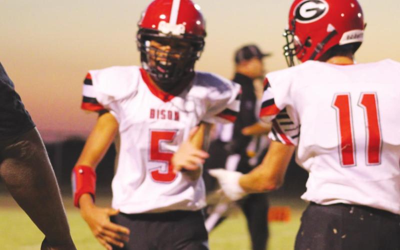 Bison Edge Crusaders