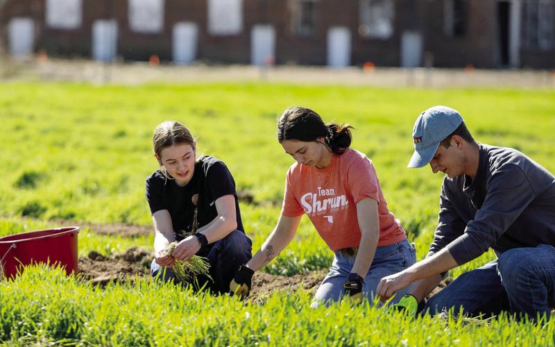 OSU Student Farm Fills Food Bank Shelves