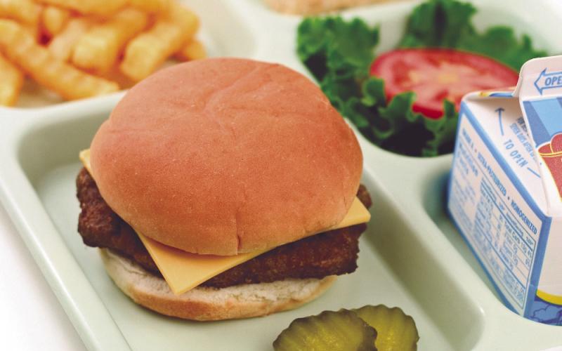 USDA Announces Harvest to Hallways Initiative to Invest in Child Nutrition Programs