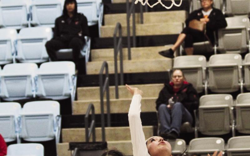 Lady Tigers Are A Force to be Reckoned With
