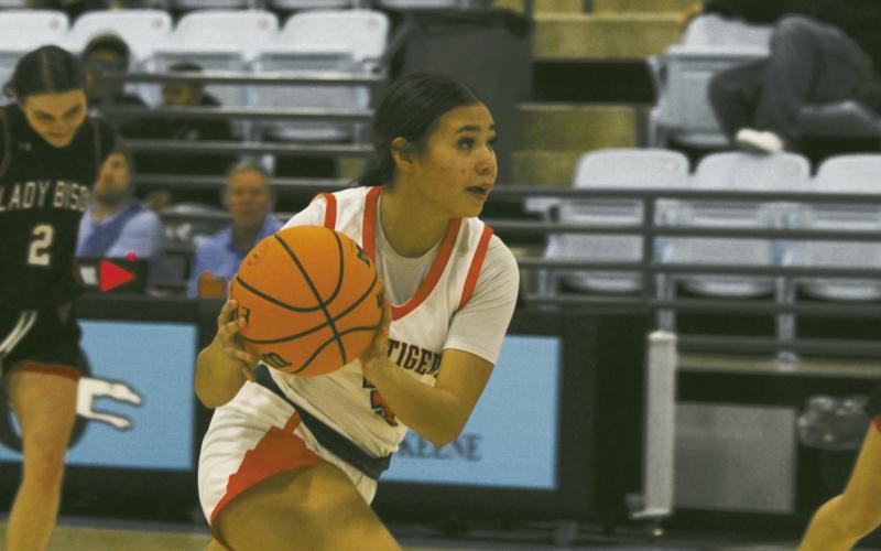Lady Tigers Are A Force to be Reckoned With