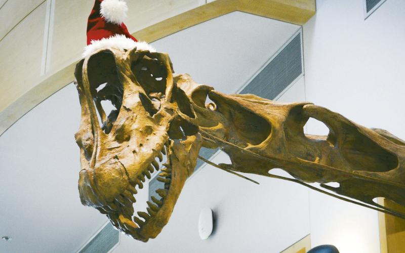 Explore a Winter Wonderland at the Oklahoma Museum of Natural History Public Events