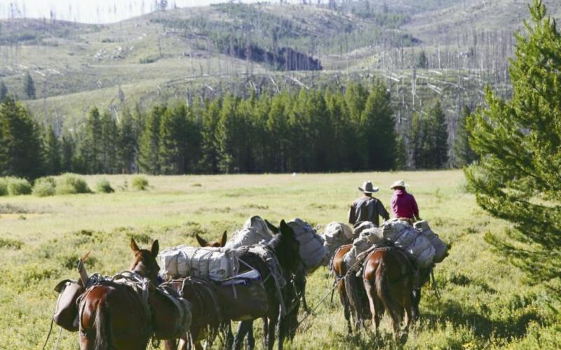 The end of the Roadless Rule will mean increased access to areas of the National Forests that were formerly off limits to all but the most die hard back countrymen. Shown here is the Frank Church River of No Return Wilderness area in Idaho.