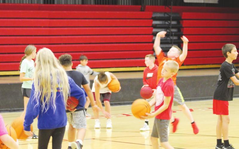 Hoops Camp