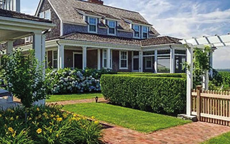 Enhance Your Winter Landscape