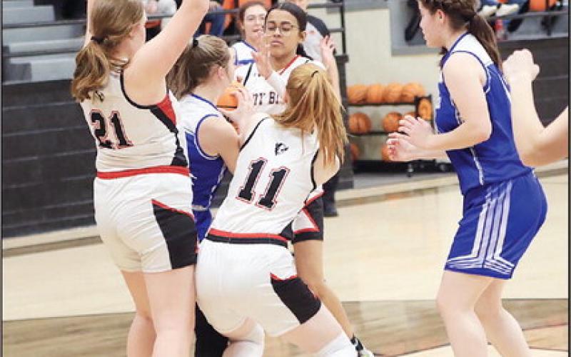 Lady Bison Battle in Regionals