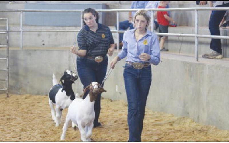 Blaine County Fair Slated  for This Weekend