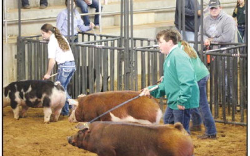 Blaine County Fair Slated  for This Weekend