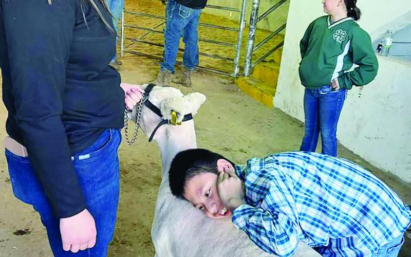 Show Kids, Newcomers Display Hearts of Champions